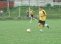 Liga a IV-a
