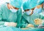 doctori
