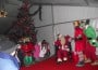 DSCF2051