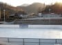 patinoar zlatna