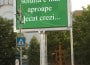 publicitate