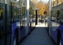 autobuze