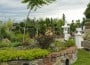 garden centrum
