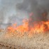 incendiu vegetatie3 incendiu vegetatie3
