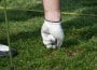 supremia golf cup