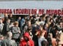 bursalocurilordemunca