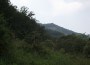 ampoita