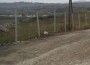 strada ion lancranjan
