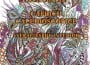 AFIS 3 expozitie muzeu lansare de carte