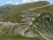 transalpina transalpina