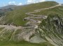 transalpina transalpina
