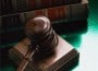 tribunal