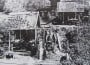 STEAMPURI 1972 STEAMPURI 1972
