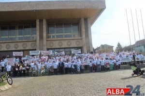 marșul pentru viata alba iulia