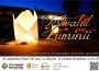 Afis Festivalul Luminii