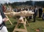 DSCN0234