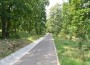 parc dendrologic