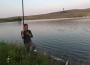 11855652_903567876398206_8954939278409237087_n