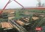 holtzindustrie holzindustrie