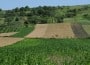 teren agricol inverzire
