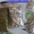 droguri