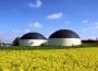 Biogaz