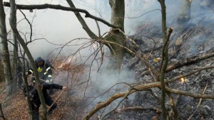 pompieri incendiu padure vegetatie