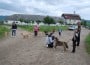 18403751_1335755873198891_6352808685196243432_n