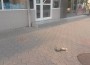 20170501_193525