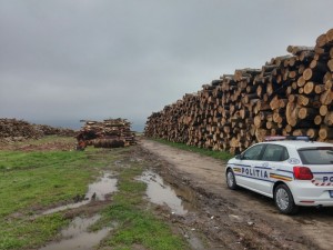 lemn politia