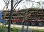 tir lemn transport