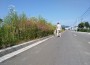 IMG_20170625_103741