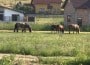 img-20170822-wa0002
