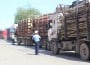 tir lemn transport 1 politia