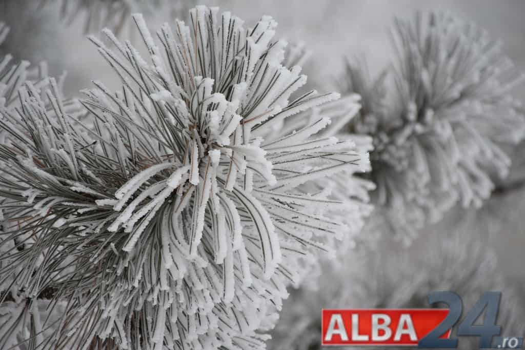 Vortexul Polar s-a „fracturat” și va aduce un început de an înghețat în emisfera nordică