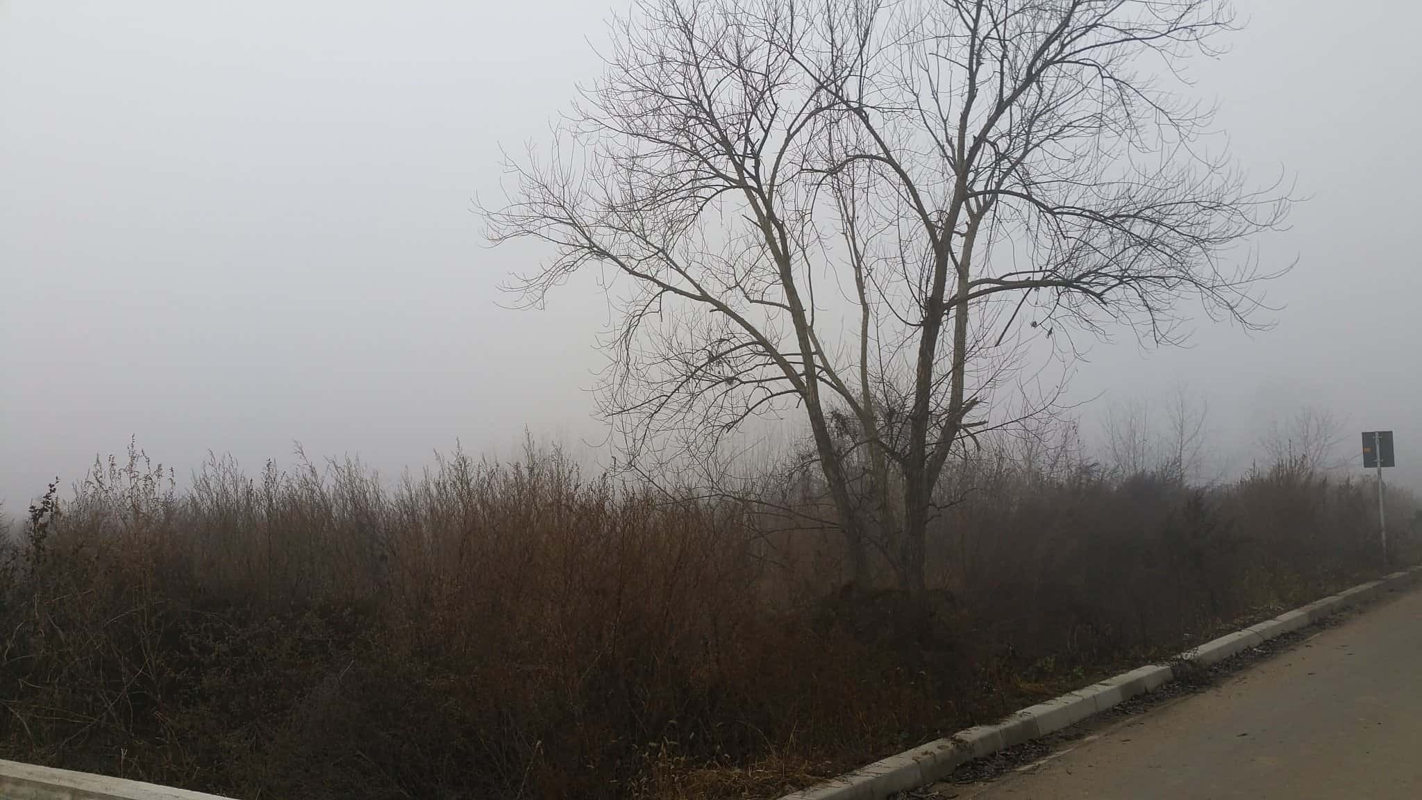 Vremea de weekend în Alba, 12-14 decembrie: temperaturile scad, condiții de ceață. Prognoza meteo pe zile și localități din județ