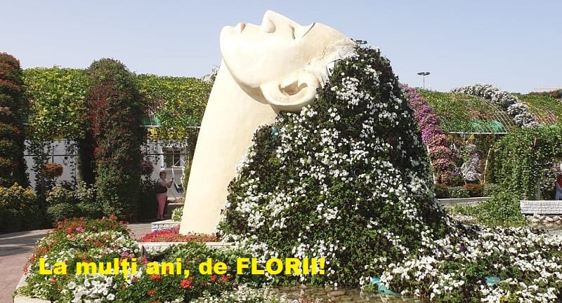 MESAJE de FLORII 2026: Idei de urări pentru cei care poartă nume de flori. Felicitări în zi de sărbătoare