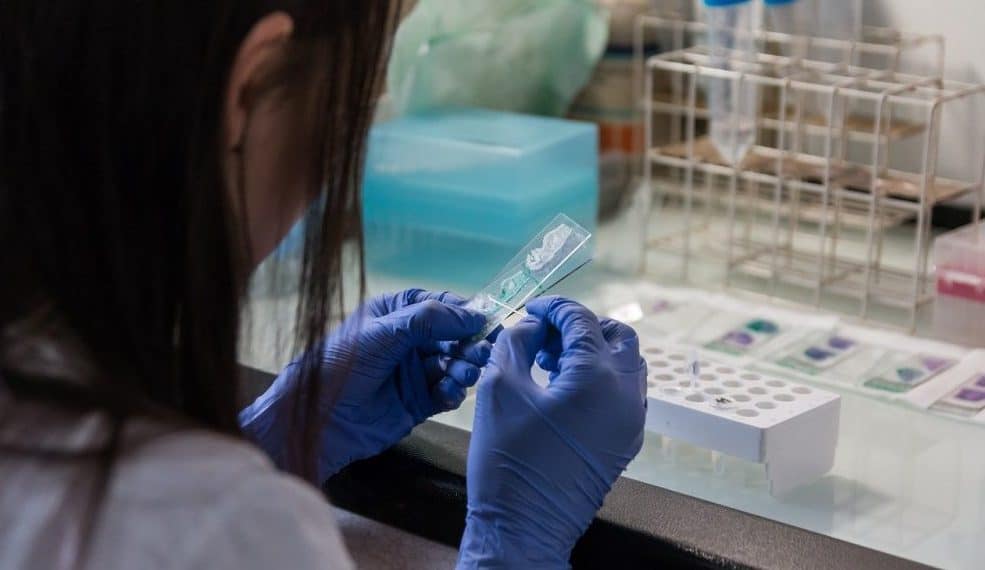 Descoperire uriașă în tratamentul cancerului: o terapie care salvează vieți ar putea deveni mai ieftină și disponibilă imediat