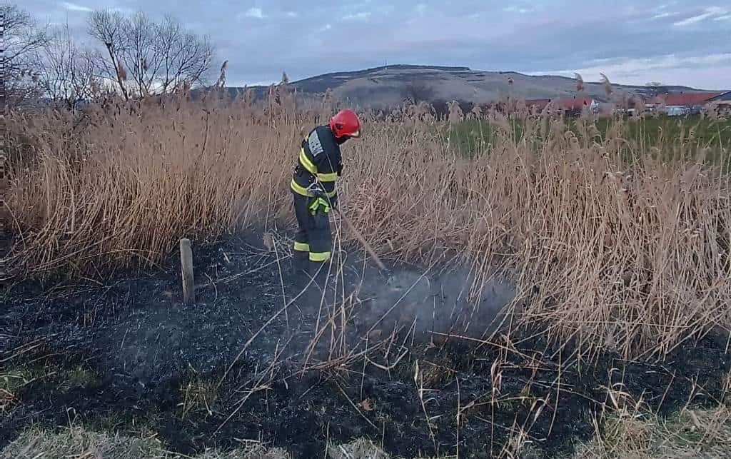 UPDATE: Incendiu în apropierea gării din Războieni Cetate și a unor vagoane încărcate cu motorină. Arde vegetație uscată