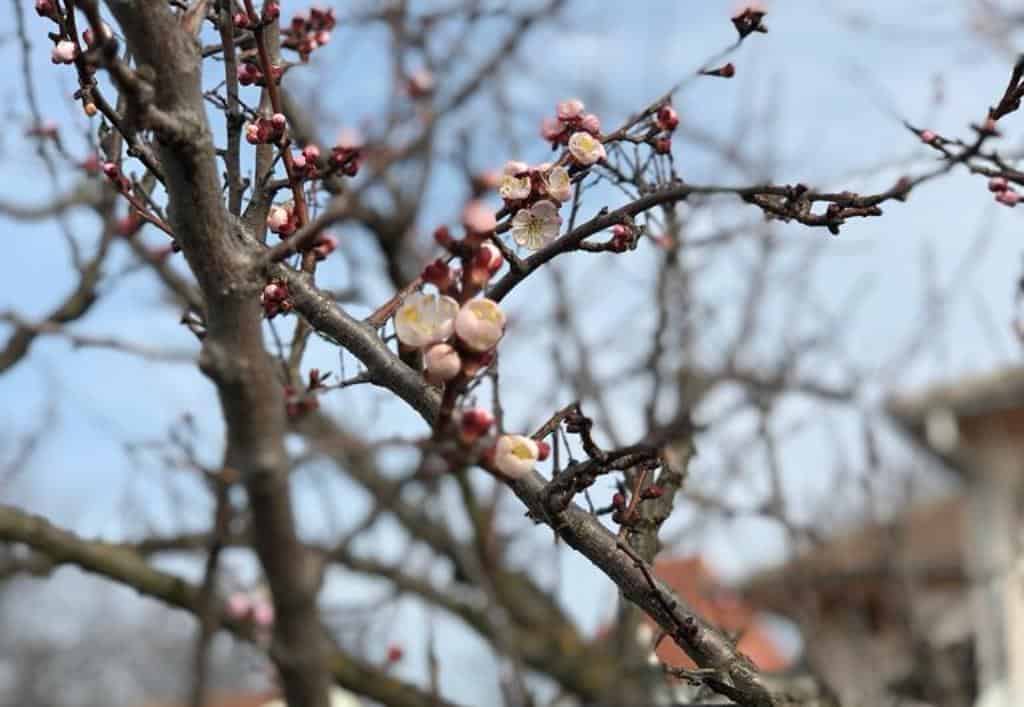Vremea în Transilvania și în țară până în 10 mai: Prognoza meteo pe regiuni, în următoarele două săptămâni