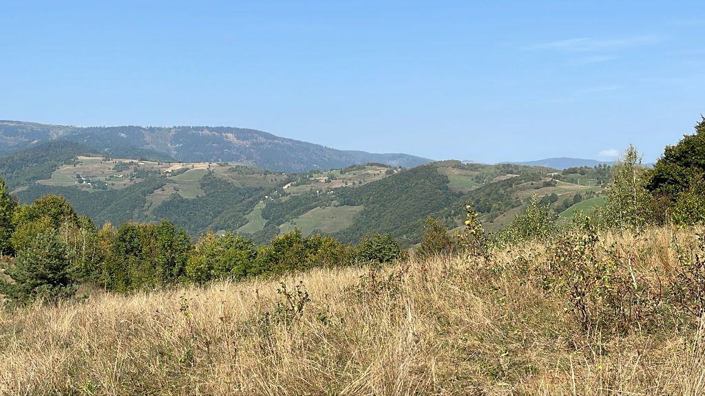 A intrat în vigoare interdicția la pășunat. Care sunt suprafețele exceptate. Detalii pentru fermieri