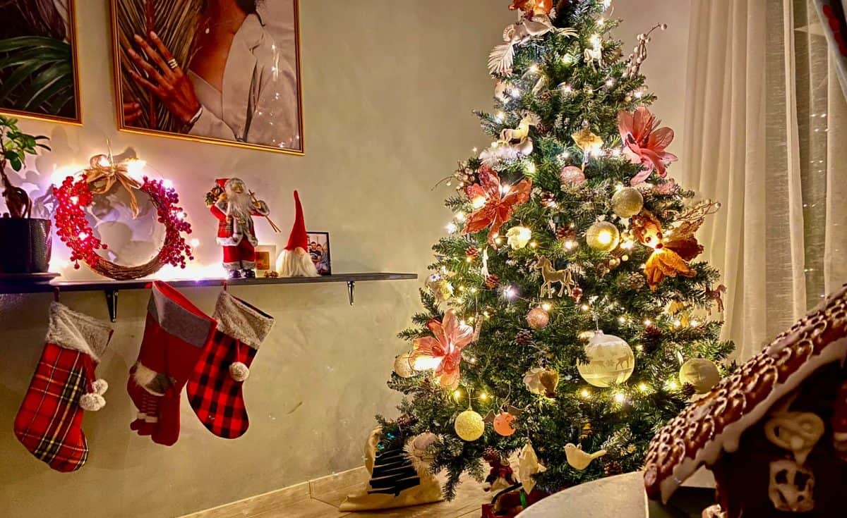 Bradul de Crăciun: ce semnifică pomul de iarnă împodobit în case sau în localități. Tradiții de sărbători