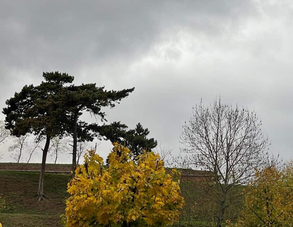 Atenționări meteo de ploi și ninsori până miercuri, 19 noiembrie. Vremea se răcește și va fi vânt puternic