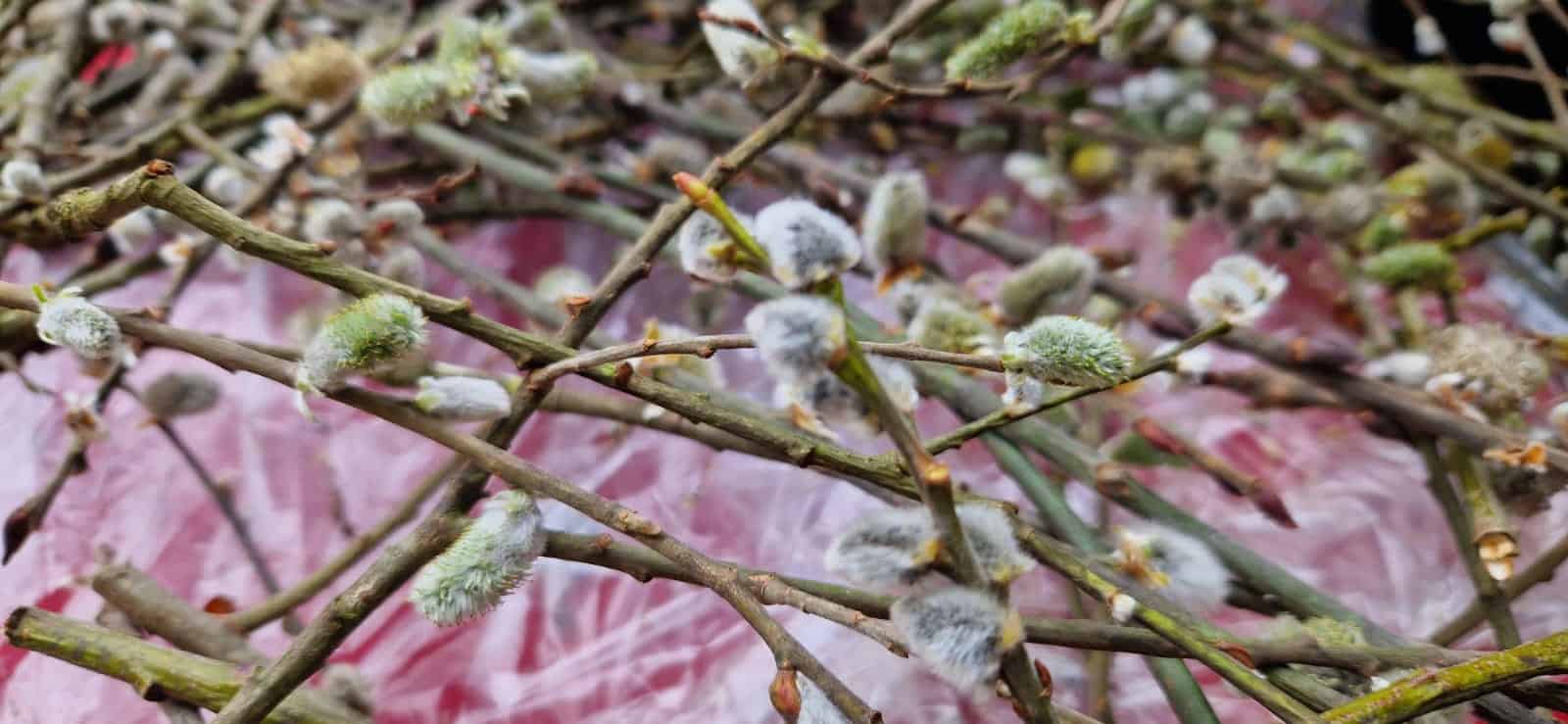 Ce NU este bine să faci de Florii. Munca, certurile și vorbele grele sunt interzise în această zi
