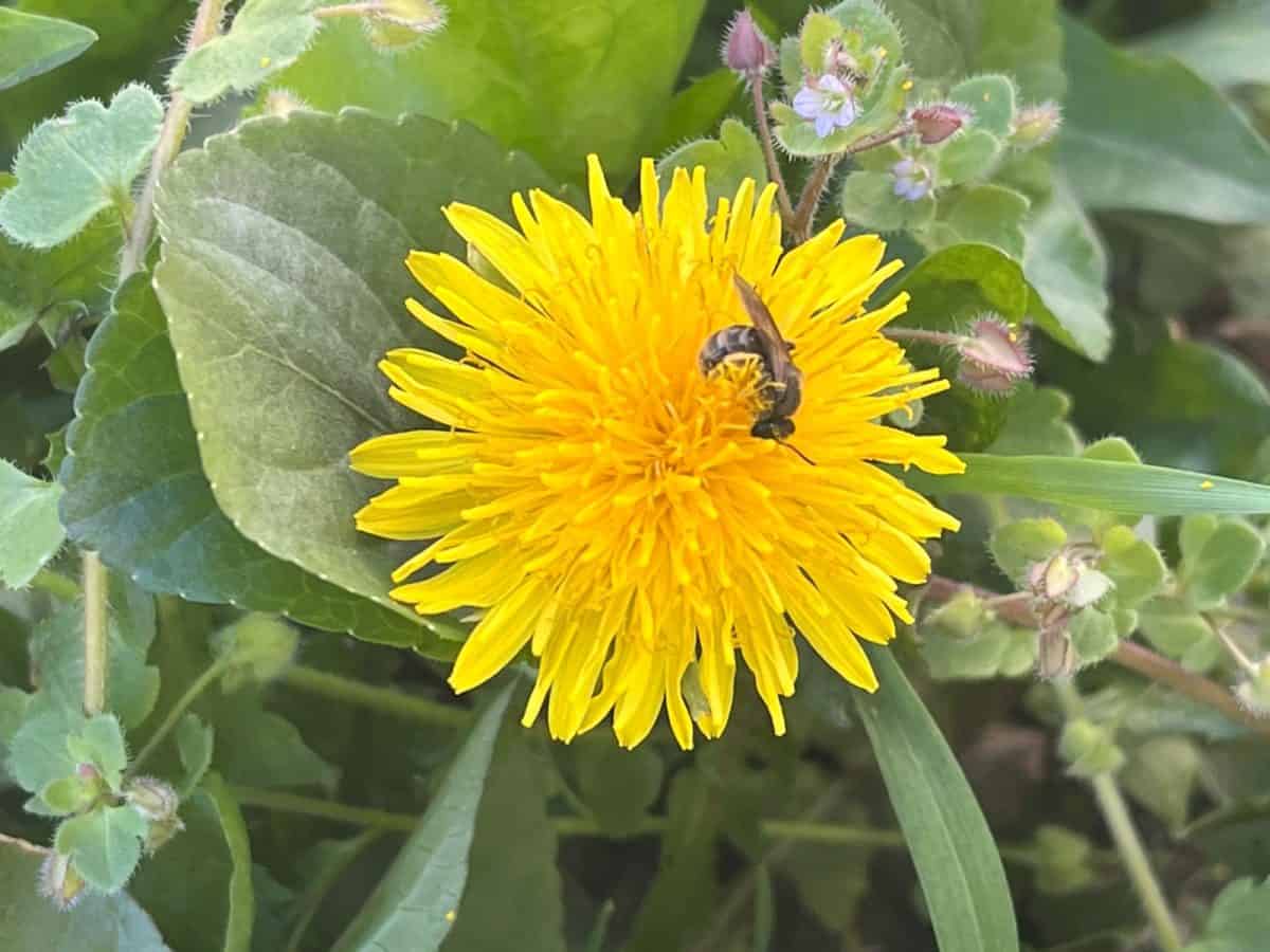 UPDATE: VREMEA de PAȘTI 2026. Prognoza meteo până la 1 mai. Cum va fi vremea în ultima lună de primăvară