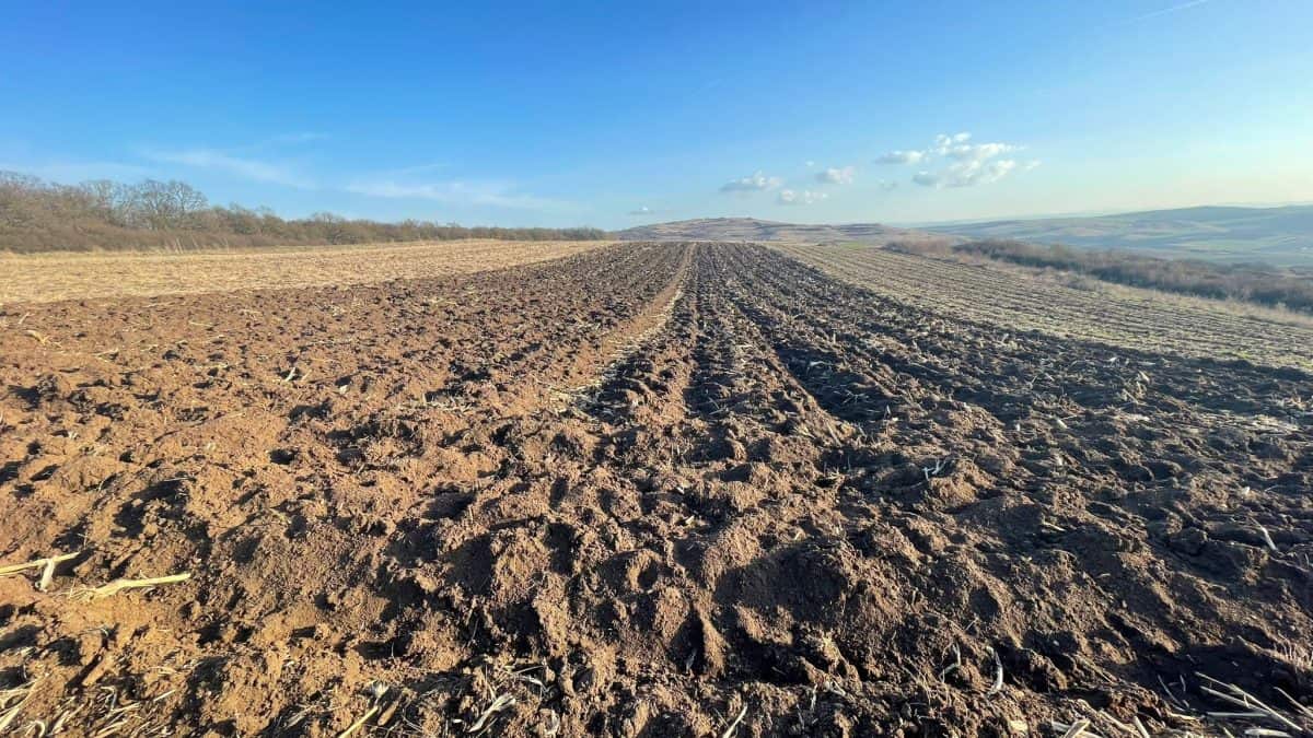 Fonduri europene 2025-2026: Bani pentru tineri fermieri, procesare și ferme mici. LISTA programelor de finanțare derulate de AFIR