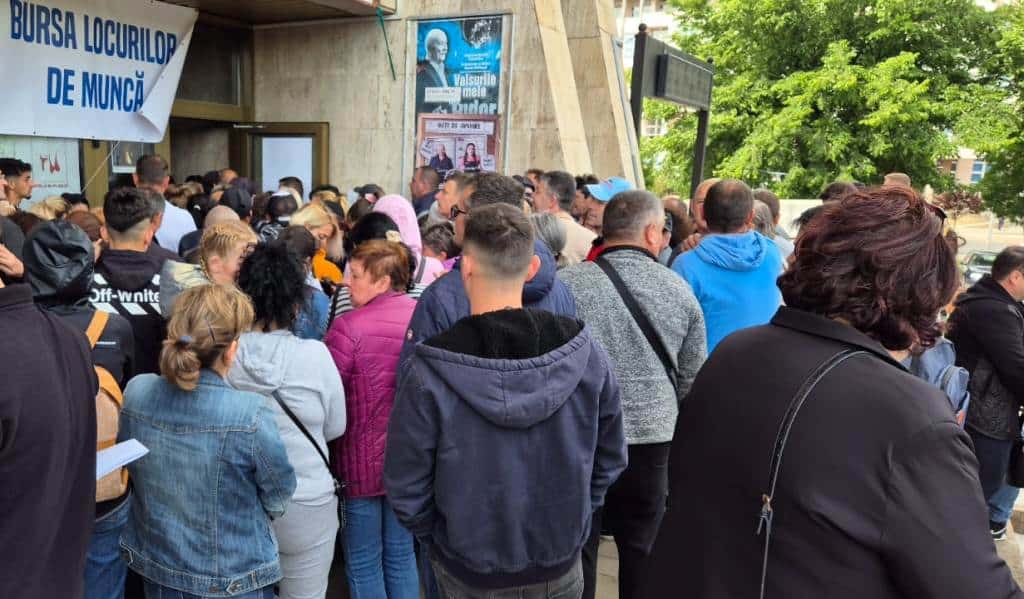 Locuri de muncă în Alba: 385 de posturi în Alba Iulia, Aiud, Blaj, Sebeș, Câmpeni și alte localități din județ. Oferta prin AJOFM