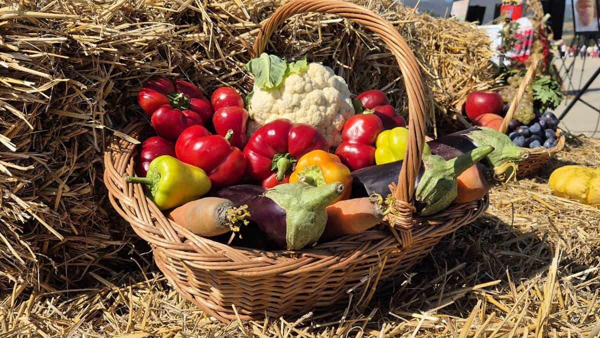 Finanțare pentru procesarea alimentelor românești: Poți să îți iei inclusiv rulotă alimentară. Condiții de eligibilitate