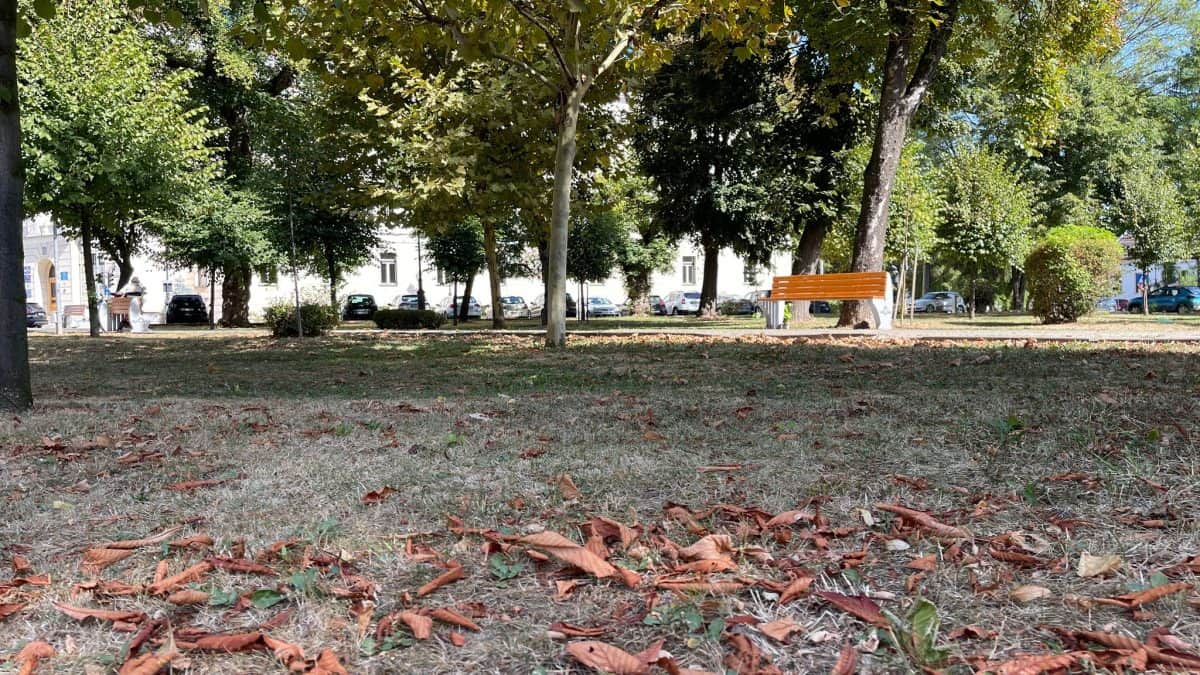 Vremea de weekend în Alba, 14-16 noiembrie: o zi mai răcoroasă apoi se încălzește. Prognoza meteo în localități din județ