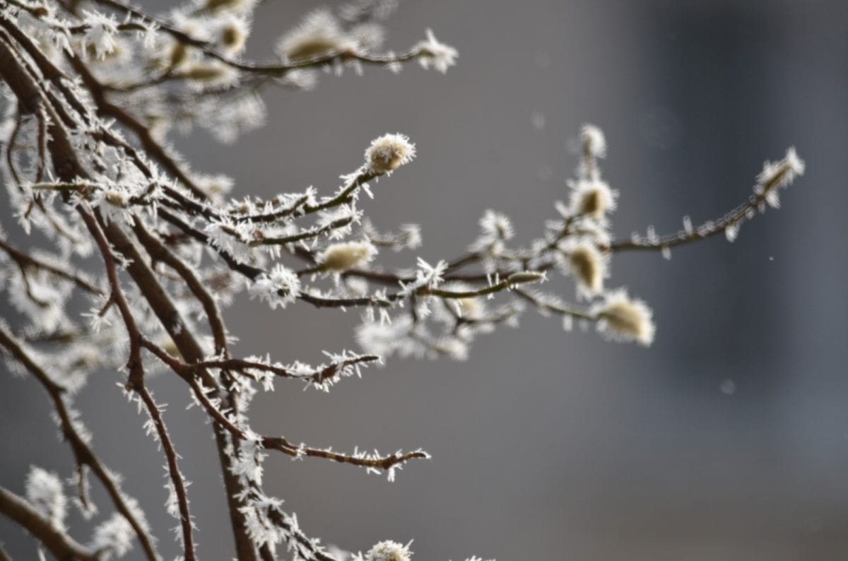 Când vor fi primele ninsori în zonele de deal și câmpie. Prognoza meteo pentru iarna 2025-2026